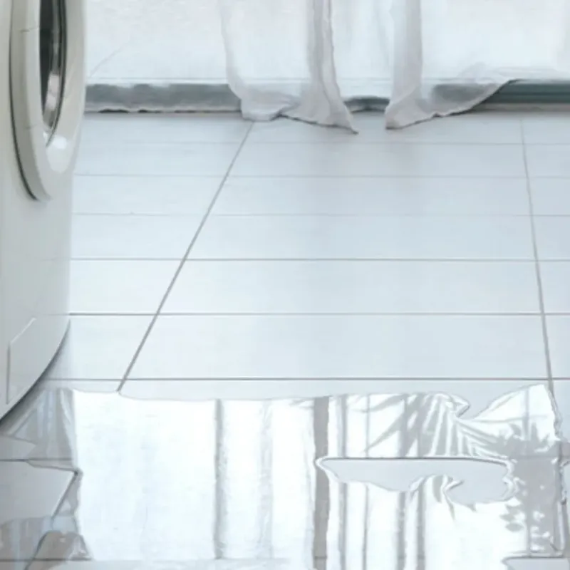 Appliance Leak Cleanup in Plainwell, MI