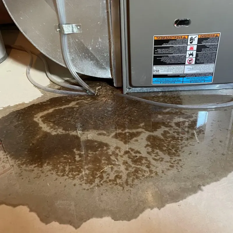 Pipe Burst and Leak Restoration in Plainwell, MI
